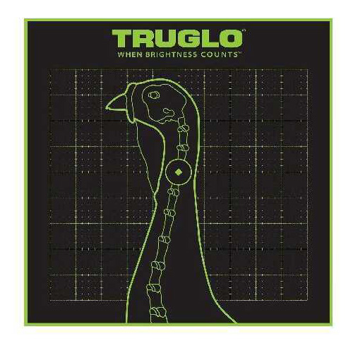 Truglo Target Turkey 12X12 6 Pack TG12A6
