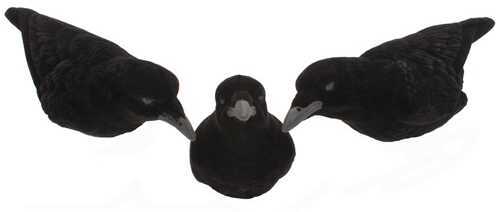 Lucky Duck (by Expedite) 3 pack Crow 21-22312-3