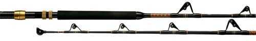 Penn International V IGFA Rod Series 5070, 70 lb/35 kg, S/G 1151152