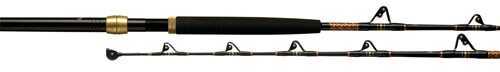 Penn International V Standup Rod Series 6', 30-80 lb, Aluminum Butt, Aftco Roller 1151161
