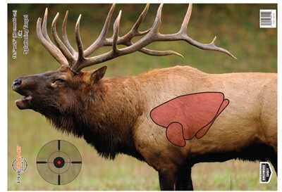B/C Target PREGAME 16.5"X24" Elk 3-Targets