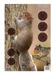 Birchwood Casey Pregame Targets Squirrel 12" x 18" (Per 8) 35406