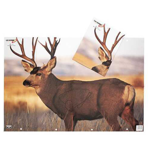 Birchwood Casey B/C Target EZE-SCORER 23"X35" Mule Deer 2 Targets
