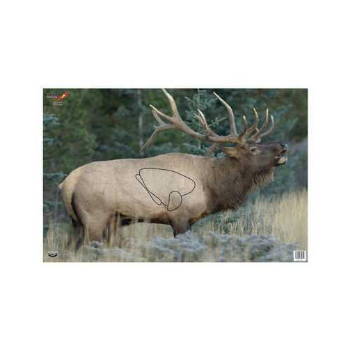 Birchwood Casey Eze-Scorer Elk 23" x 35" 2 Targets 37485