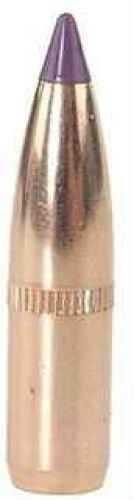 Nosler 6mm / 243 Caliber 90 Grains Spitzer Ballistic Tip Bullets (Per 50) 24090