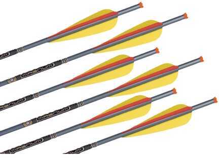 TenPoint Crossbow Technologies Point 20" 2219 Aluminum Arrows Omni-Brite Lighted Per 6 Md: HEA-039.6