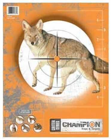 Champion Traps & Targets Critter Practice 11X14 10/Pack 45781