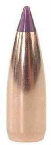 Nosler 6mm/243 Caliber 55 Grains Spitzer Ballistic Tip Varmint (Per 250) 39565