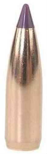 Nosler 6mm/243 Caliber 70 Grains Spitzer Ballistic Tip Varmint Bullets (Per 250) 39570