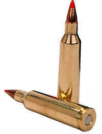 22-250 Remington 20 Rounds Ammunition Fiocchi Ammo 55 Grain V-Max