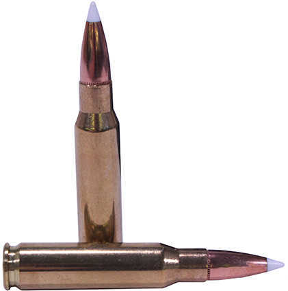 308 Winchester 20 Rounds Ammunition Nosler 150 Grain Ballistic Tip