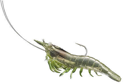 LIVETARGET Lures / Koppers Fishing and Tackle Corp Rigged Shrimp Soft Plastic Grass 2/0 Md: SSF100Sk918
