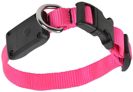 Nite Ize Dawg Led Light Up Dog Collar XS Neon Pink Md: NND-03-35XS