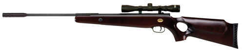 Beeman Ram XT Sir Rifle Package .22 Caliber With 4x32mm Scope Md: 10872