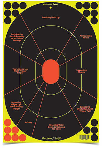 Birchwood Casey Shoot-N-C Targets: Silhouette 12" x 18", Pack Of 5 Md: 34655