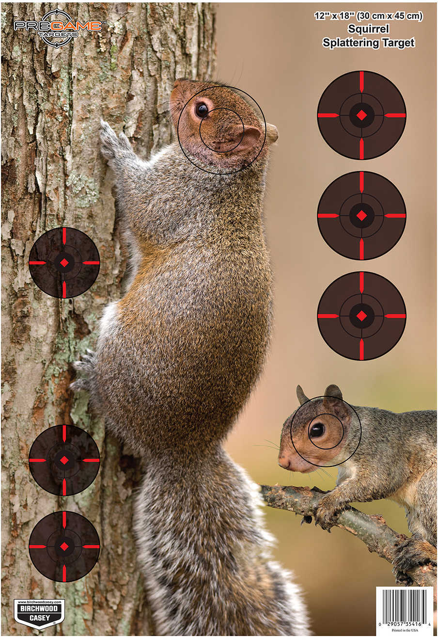 Birchwood Casey Pregame Targets Squirrel 12" x 18" (Per 8) 35406