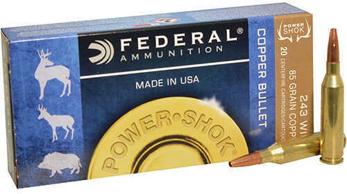 243 Winchester 20 Rounds Ammunition Federal Cartridge 85 Grain Copper