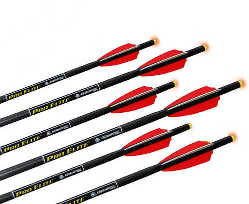 TenPoint Crossbow Technologies Omni-Brite 2.0 Lighted Arrow 22" Carbon, Pro-V, 6 Pack Md: HEA-528.6