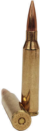 338 Lapua Magnum 20 Rounds Ammunition Nosler 300 Grain Hollow Point