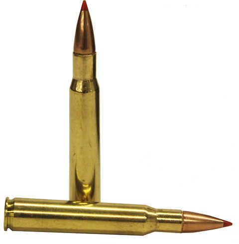 30-06 Springfield 20 Rounds Ammunition Fiocchi Ammo 150 Grain Ballistic Tip