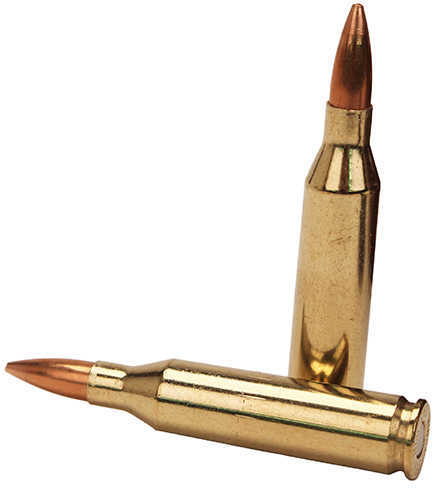 243 Winchester 20 Rounds Ammunition Dynamic Research Technologies 95 Grain Boat Tail Hollow Point