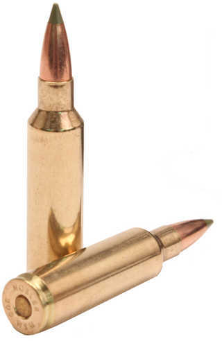 300 Winchester Short Magnum 20 Rounds Ammunition Nosler 180 Grain Ballistic Tip