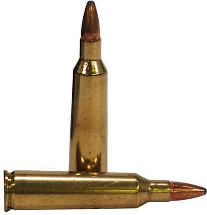 22-250 Remington 20 Rounds Ammunition Federal Cartridge 55 Grain Soft Point