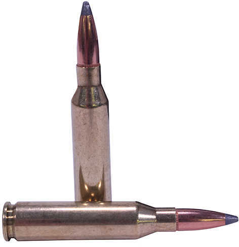 260 Remington 20 Rounds Ammunition Nosler 125 Grain Soft Point