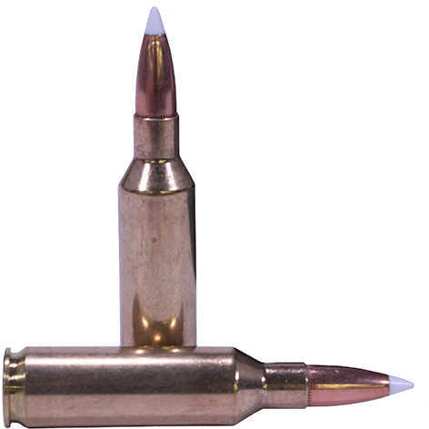 7mm Remington Short Action Ultra Magnum 20 Rounds Ammunition Nosler 160 Grain Ballistic Tip