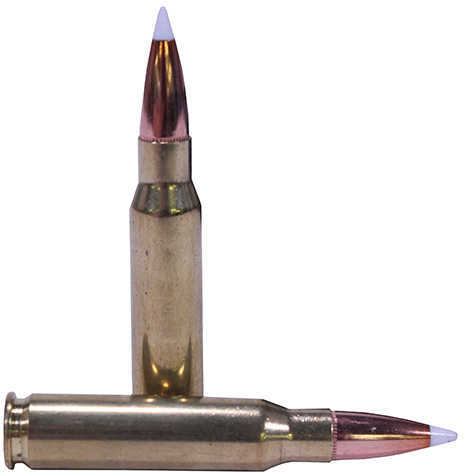 308 Winchester 20 Rounds Ammunition Nosler 165 Grain Ballistic Tip