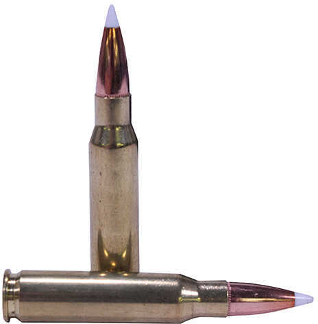 308 Winchester 20 Rounds Ammunition Nosler 165 Grain Ballistic Tip