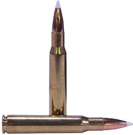 30-06 Springfield 20 Rounds Ammunition Nosler 165 Grain Ballistic Tip