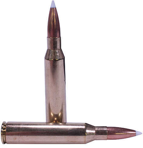 338 Lapua Magnum 20 Rounds Ammunition Nosler 300 Grain Ballistic Tip