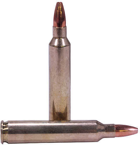 204 Ruger 20 Rounds Ammunition Nosler 32 Grain Hollow Point