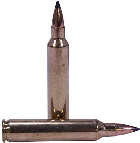 Nosler 204 Ruger 20 Rounds Ammunition Nosler 32 Grain Hollow Point