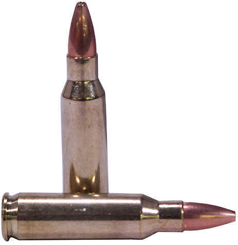 221 Remington Fireball 20 Rounds Ammunition Nosler 40 Grain Hollow Point