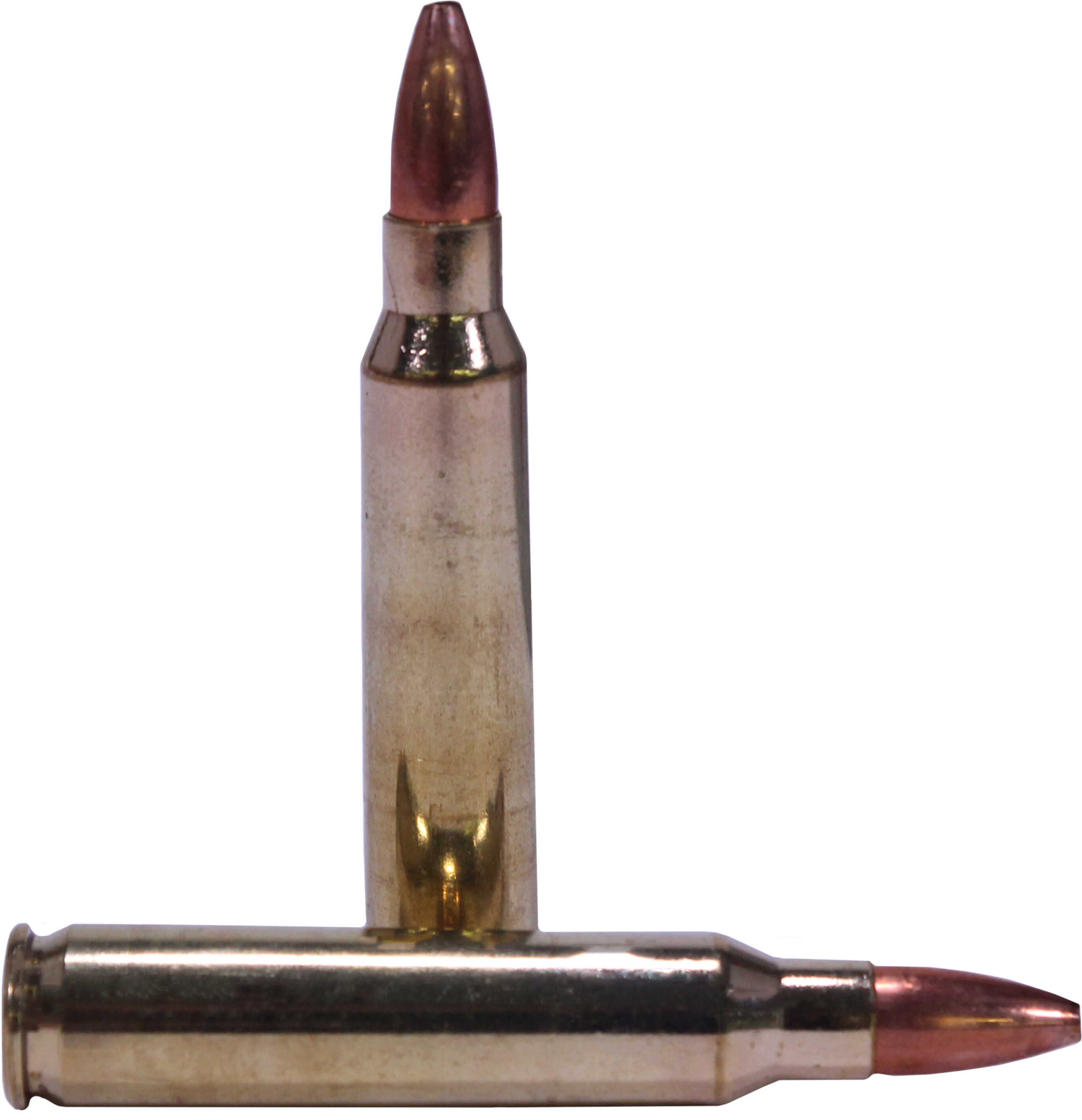 223 Remington 20 Rounds Ammunition Nosler 55 Grain Hollow Point