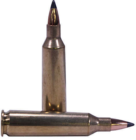 Nosler Varmageddon 22-250 Remington 20 Rounds Ammunition 55 Gr Flat Base Tipped