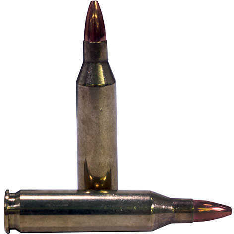 243 Winchester 20 Rounds Ammunition Nosler 55 Grain Hollow Point