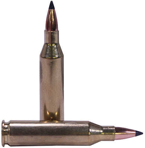 Nosler 243 Winchester 55 Gr HP Ammo - 20 Rounds for Varmint Control