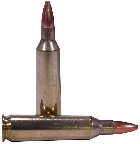 22-250 Remington 20 Rounds Ammunition Nosler 55 Grain Hollow Point