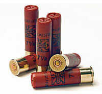 Shotgun 28 Gauge