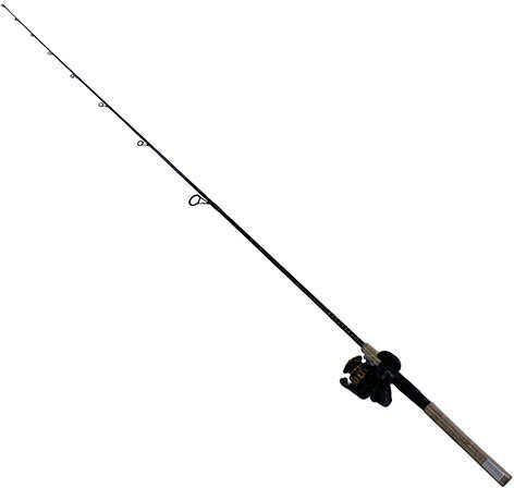 Daiwa BG Saltwater Pre-Mounted Combo 2500, 5.5:1 Gear Ratio, 6+1 Bearing, 1 Piece, Graphite & Carbon Compo