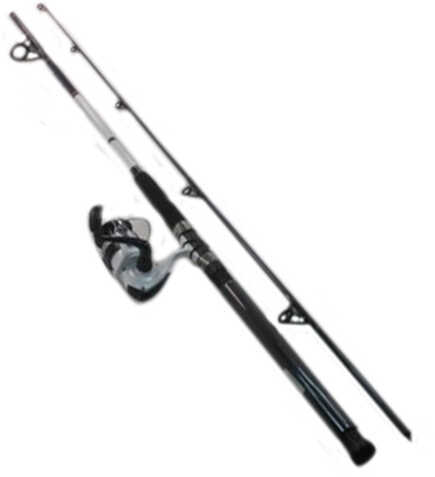 Daiwa D-Wave Saltwater Spinning Combo 1 Bearing 10 Length 2 Piece Rod Medium Power Fiberglass Blank