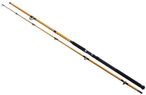 Daiwa FT Surf Spinning Rod 11 Length 2 Piece 10-25 lb Line Rating Mediu Power Fast Action Md: FTS