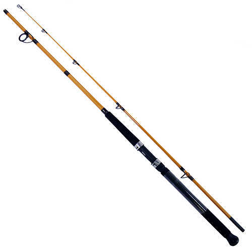 Daiwa FT Surf Spinning Rod 8 Length 2 Piece 8-17 Lb Line Rating Medium Power Fast Action Md: FTS8