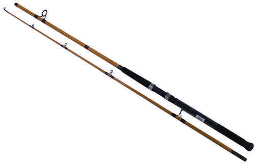 Daiwa FT Surf Spinning Rod 9 Length 2 Piece 8-20 Lb Line Rating Medium Power Fast Action Md: FTS9