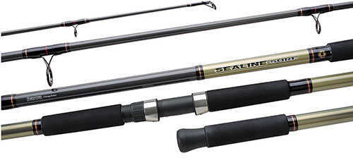 Daiwa Sealine Surf SLS Spinning Rod 10 Length 2 Piece Light Power Slow Action Md: SLSA1002LSS