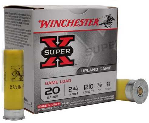 20 Gauge 25 Rounds Ammunition Winchester 2 3/4" 7/8 oz Lead #8