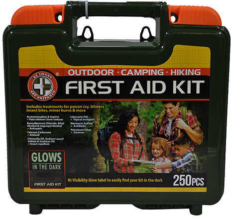Wise Foods First Aid Kit 250 Piece Md: 08-302